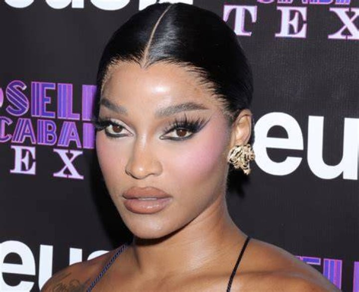 Joseline Hernandez's Custody Battle: Unveiling Truths And Intricacies