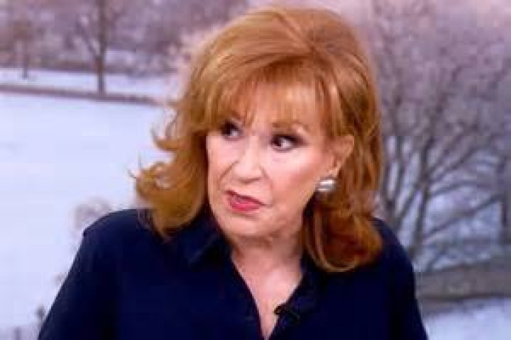 Joy Behar Returns to ABC's 'The View' Next Season In Host Revamp Variety