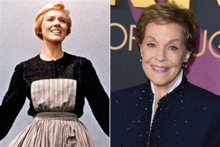 Julie Andrews' Grandchildren Maximillan Scheff, Hope Hamilton, And Sam