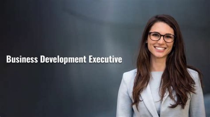 Lance Levitas Business Development Executive ES LinkedIn