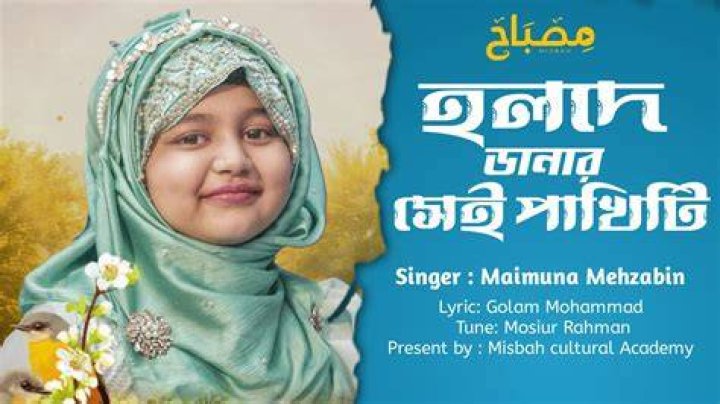 MAIMUNA SONG BY ALAMIN YouTube