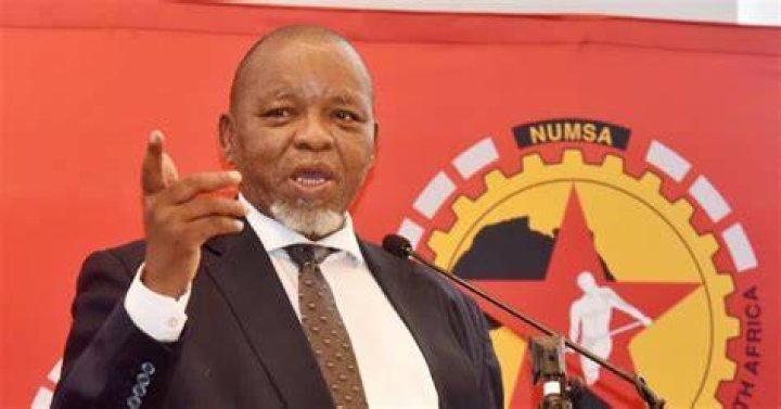 Mantashe's Criticism Of Niehaus Uncovers Party Divisions