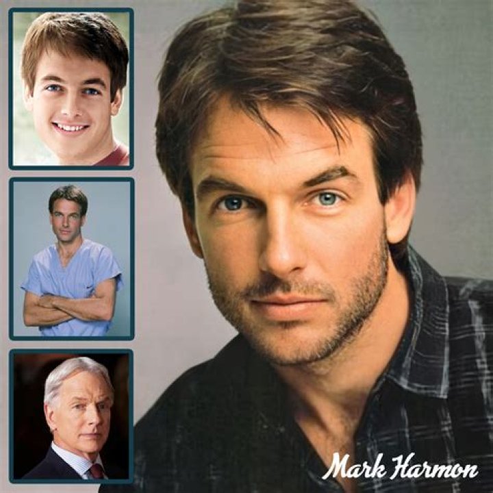 Mark Harmon&rsquo;s Family Tree Who Are His Famous Relatives..? Curious World