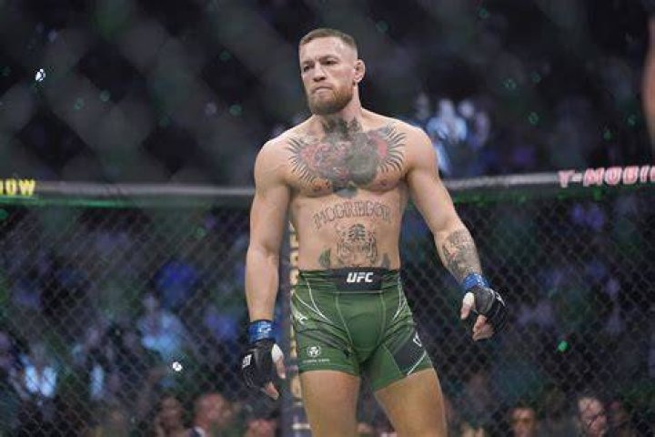 Media Conor McGregor's Main Sparring Partner For UFC 246 Fight v