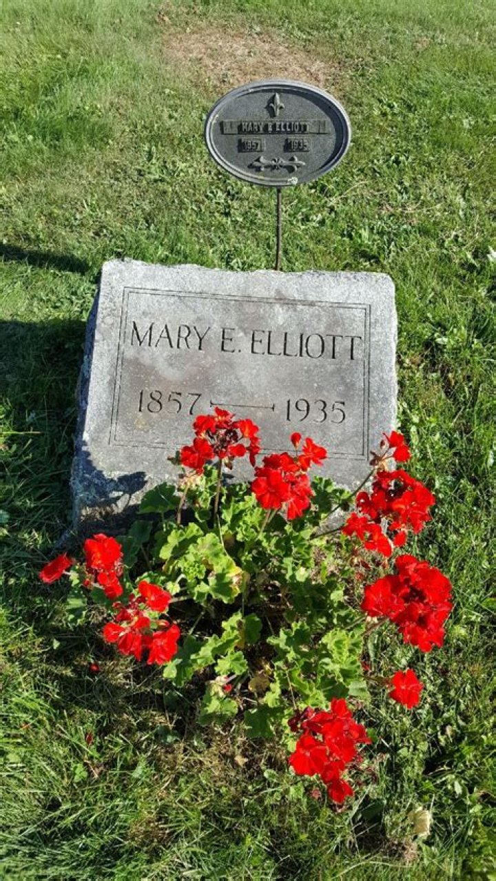 Meet Dale Stevens Jenkins, Mary Elizabeth Wheeler