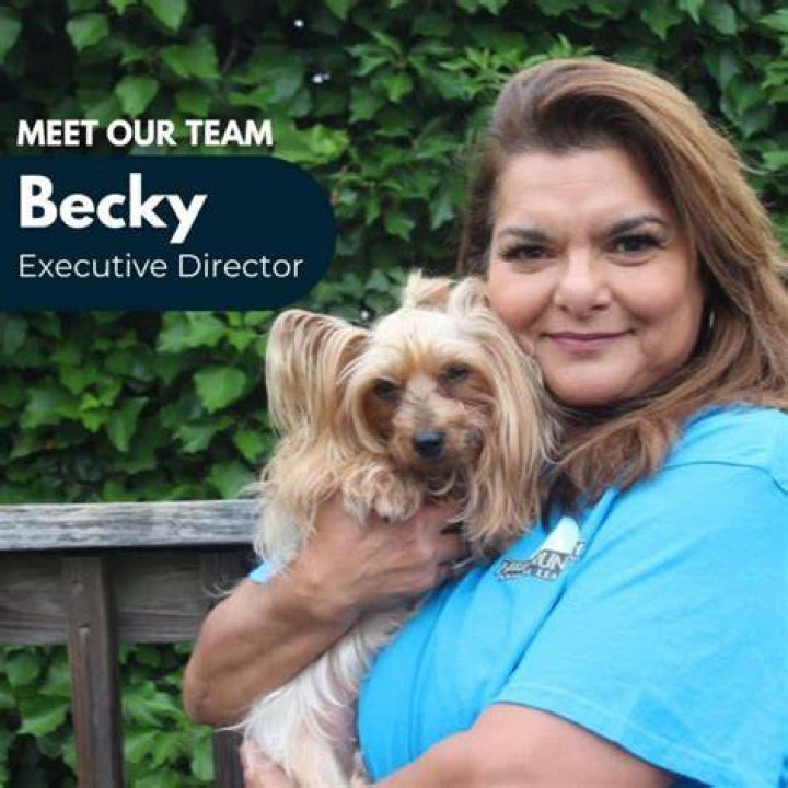 Meet The Man Behind Becky Stanley Brodersen: Uncovering The Life And Success Of David Brodersen