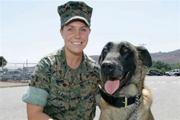 Megan Leavey's Endearing Relationship With Matt Morales: A Love Story
