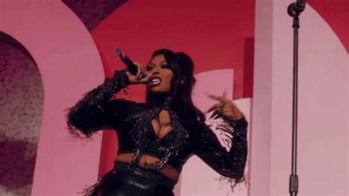 Megan Thee Stallion 11 Interesting facts about Romelu Lukaku's
