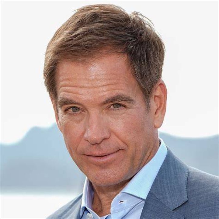Michael Weatherly's Net Worth Revealed