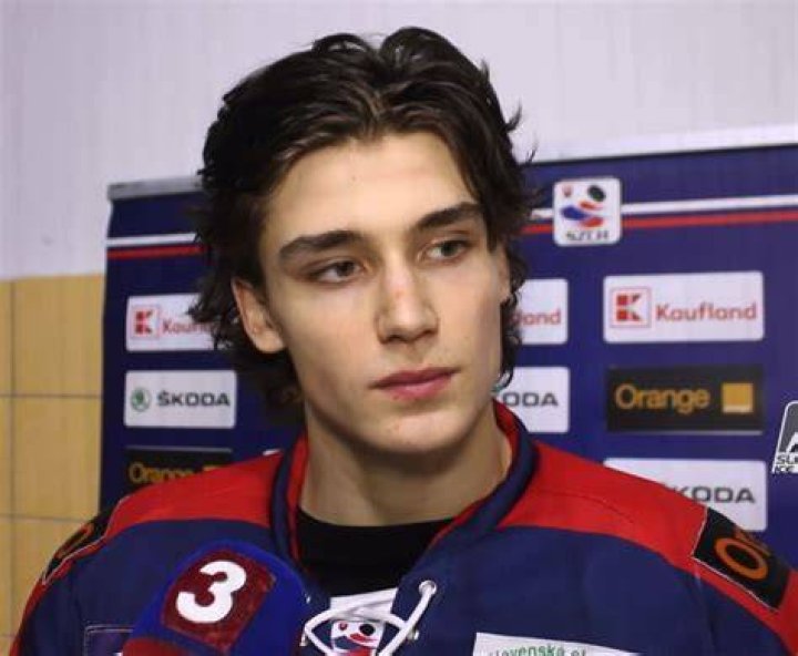 Michal Hrdlička Karol&iacute;na Pl&iacute;&scaron;kov&aacute;