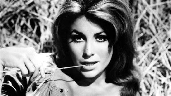 Michele Carey Dead Actress in 'El Dorado,' Elvis Presley's 'Live a