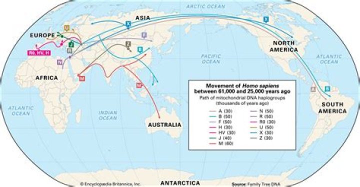 Migration MuseumTrent AlexanderArnold’s family history reveals complex