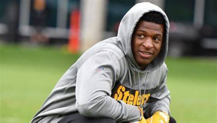 Mike Hilton Net Worth (2024), Wiki, Age, Wife, Kids And More Facts