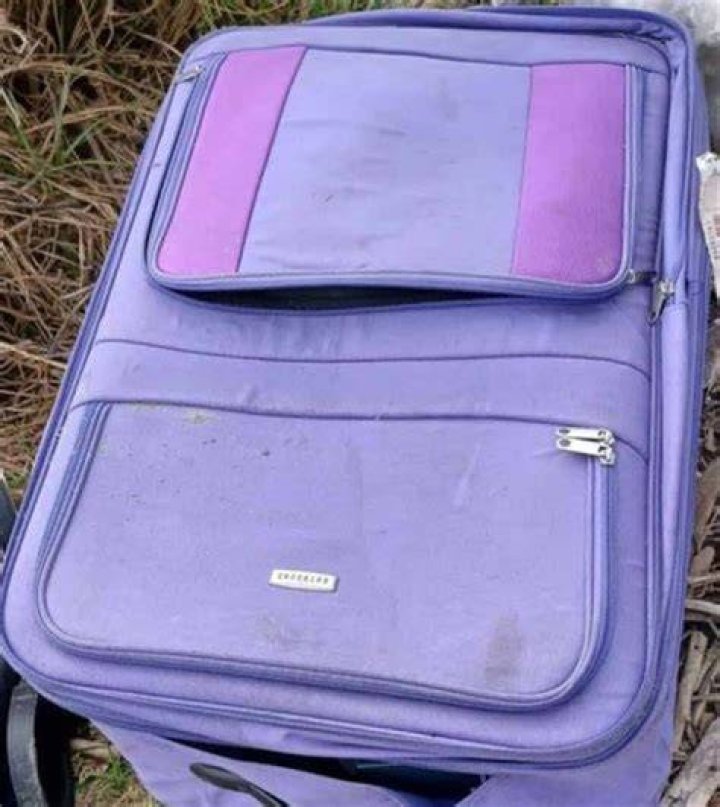 Missing womans mum addresses suspects ·