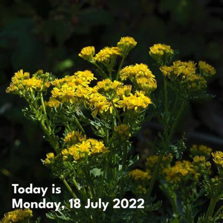 Monday 18 July 2022 0736 PM Elon Musk appears in high spirits as he