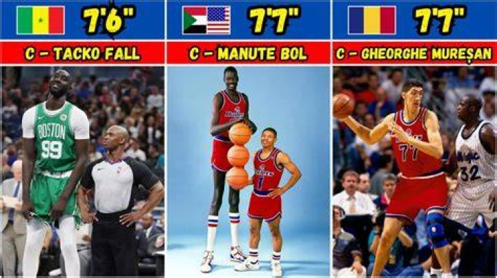NBA Meet the tallest basketball player in HistoryNewslex Point