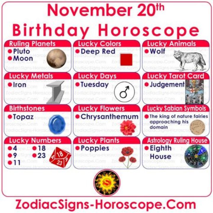 November 20 Birthday Horoscope Personality November 20 zodiac