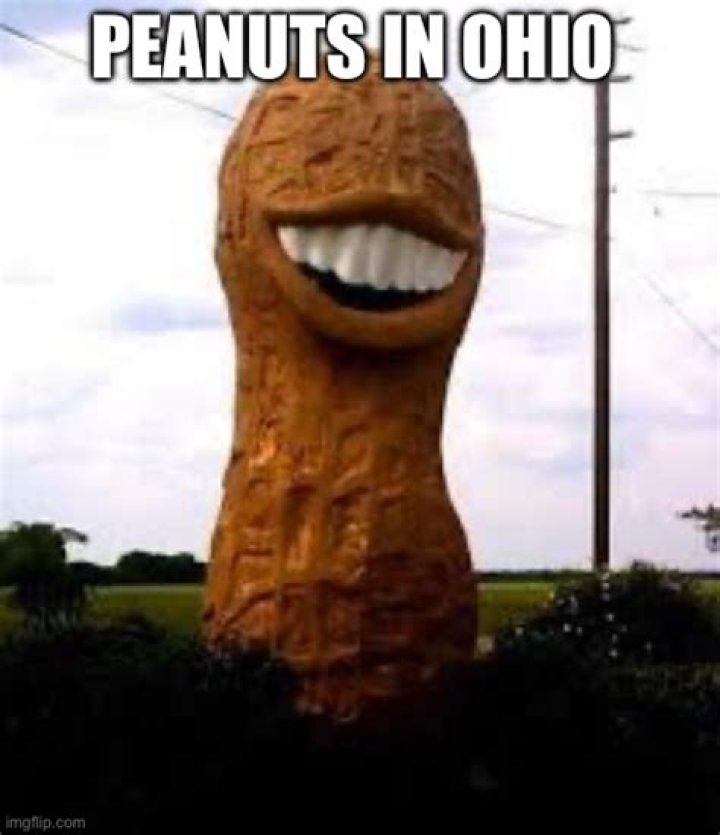 Ohio Imgflip