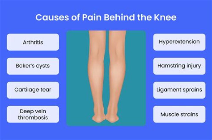Pain Behind The Knee Causes, Picture, Symptoms And Treatment