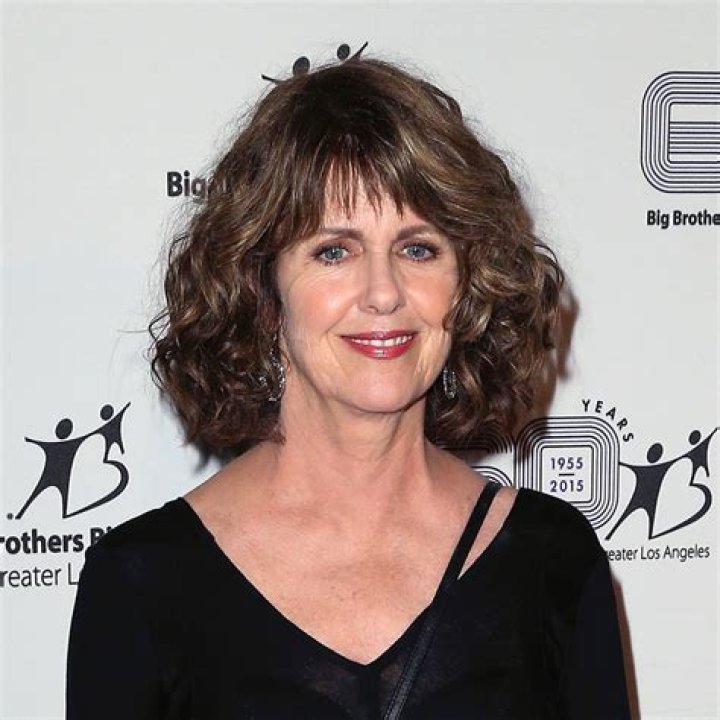 Pam Dawber's Current Presence And Legacy