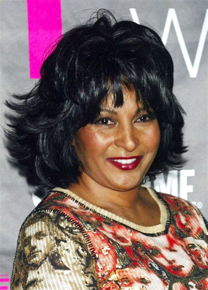 Pam Grier Wiki Bio Age Net Worth And Other Facts Facts Five The Best