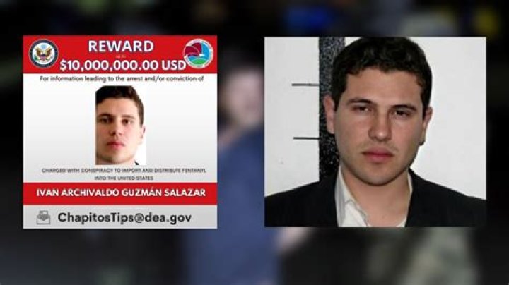 Perfil. Iván Archivaldo Guzmán Salazar