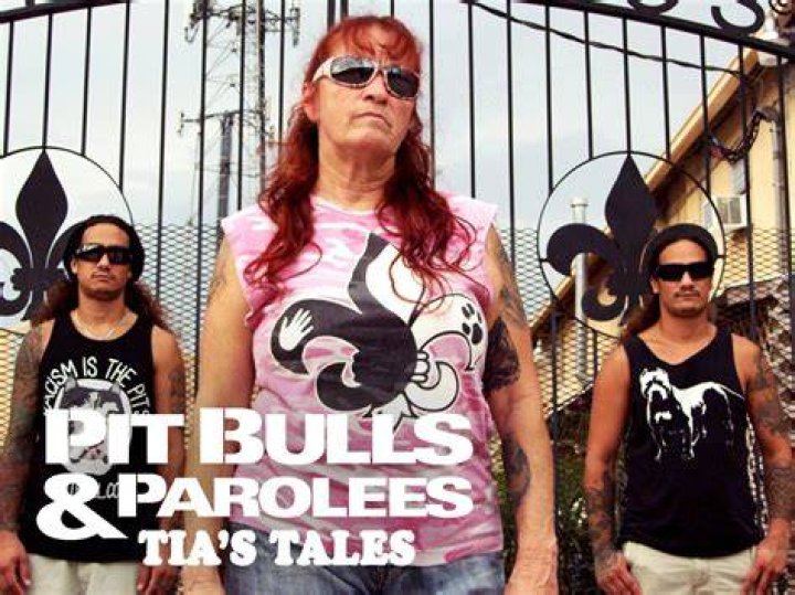 Pit Bulls & Parolees Tia Torres Husband Is She Still Married To Aren