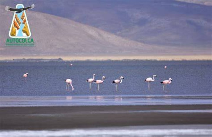 Salinas tiene una importante raz&oacute;n para reducir dos tallas m&aacute;s