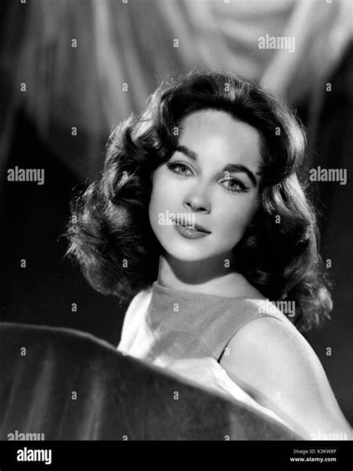 SHIRLEY ANNE FIELD British Actress Stock Photo Alamy