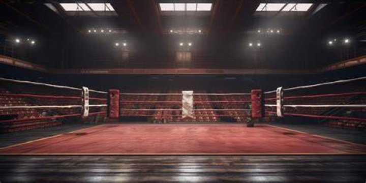 Sicherung Assoziieren Erh&ouml;hen boxing ring announcer salary In