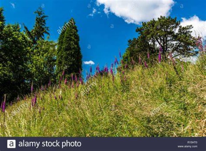 Standen hires stock photography and images Alamy