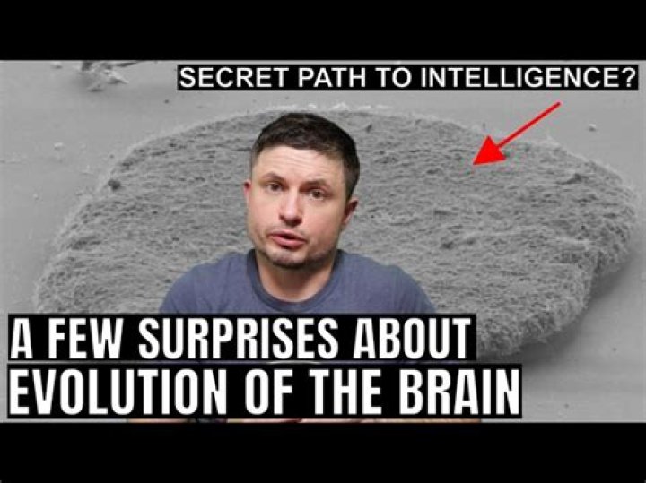 Surprising Discoveries And Uncommon Insights