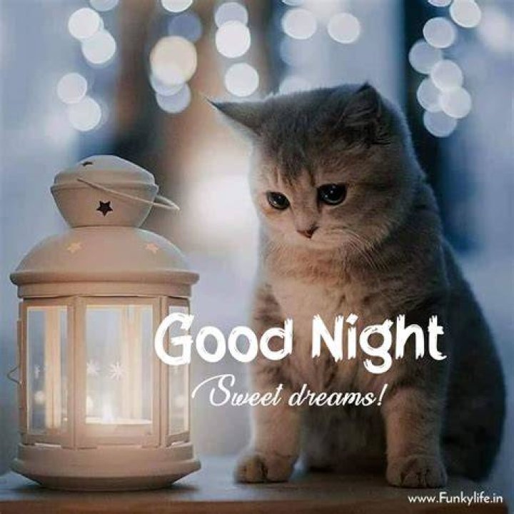 Sweetest and Cutest Goodnight beautiful text Love Messages