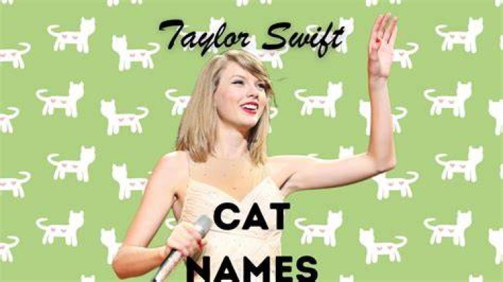 Taylor Swift cats&rsquo; names How many cats does T Swift&hellip;