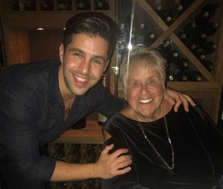 The Demise Of Josh Peck's Father