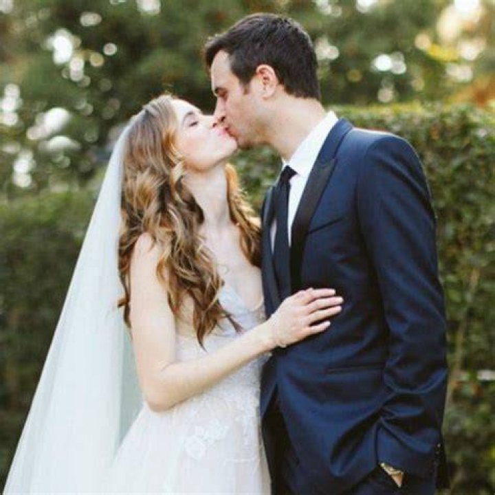 The Flash Star Danielle Panabaker Expecting Baby No 2 With Husband Hayes Robbins| Her Net Worth Insi