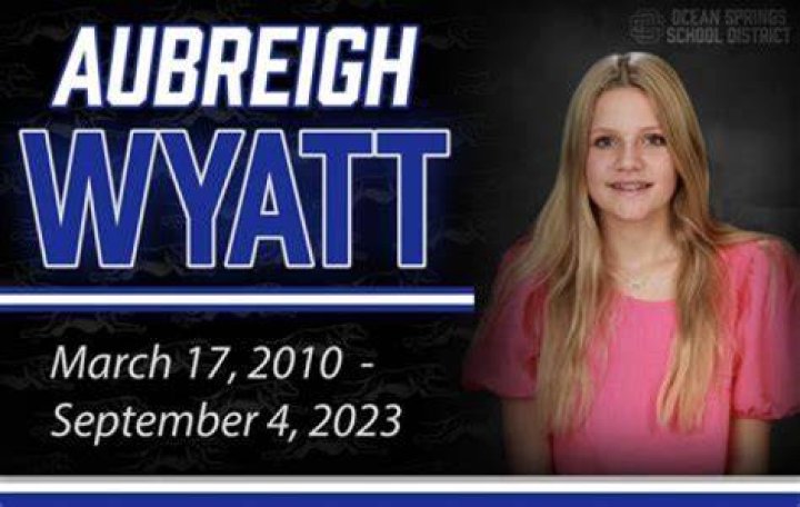 The Latest Update on Aubreigh Wyatt's Case What Happened and the