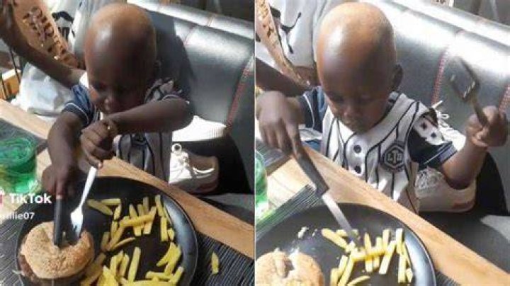 The Little Boy's Dramatic Fork