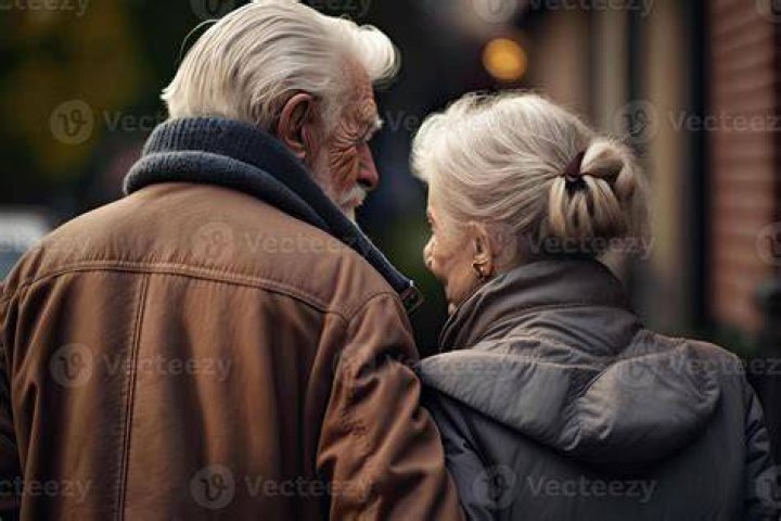 The old man in love Lucas Cranach the Elder Lucas