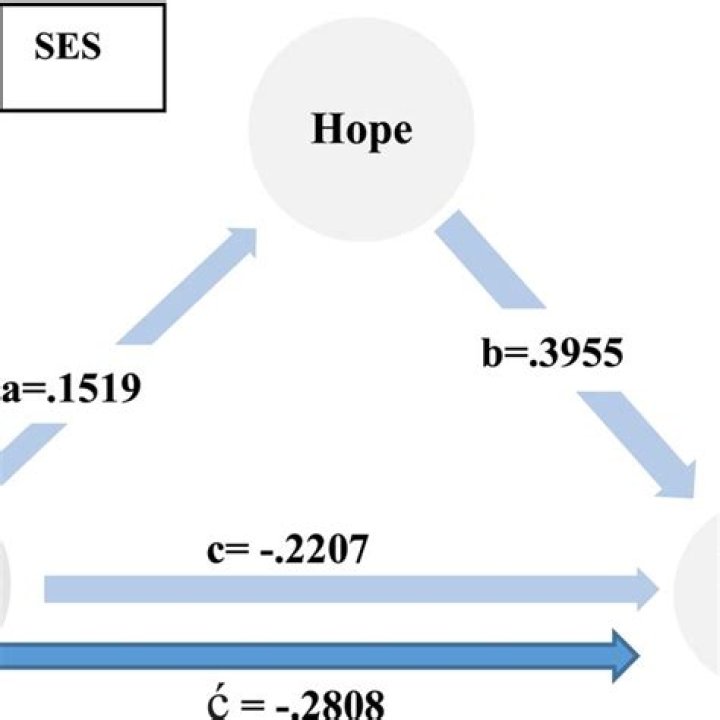 The relationship between hope and resilience 29 Sept 2021 Online