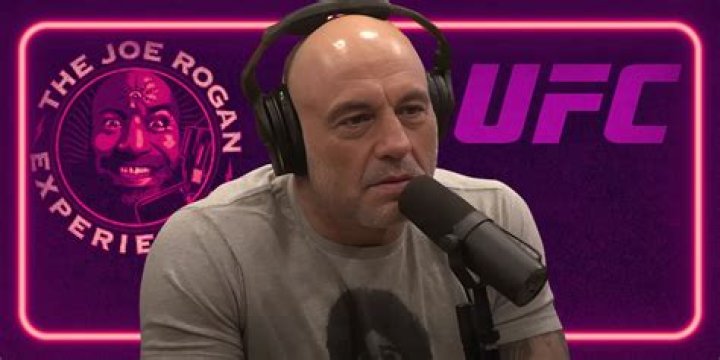 The Saga of Joe Rogan The New York Times