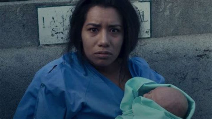 The Surrogacy cast All actors & characters Dexerto