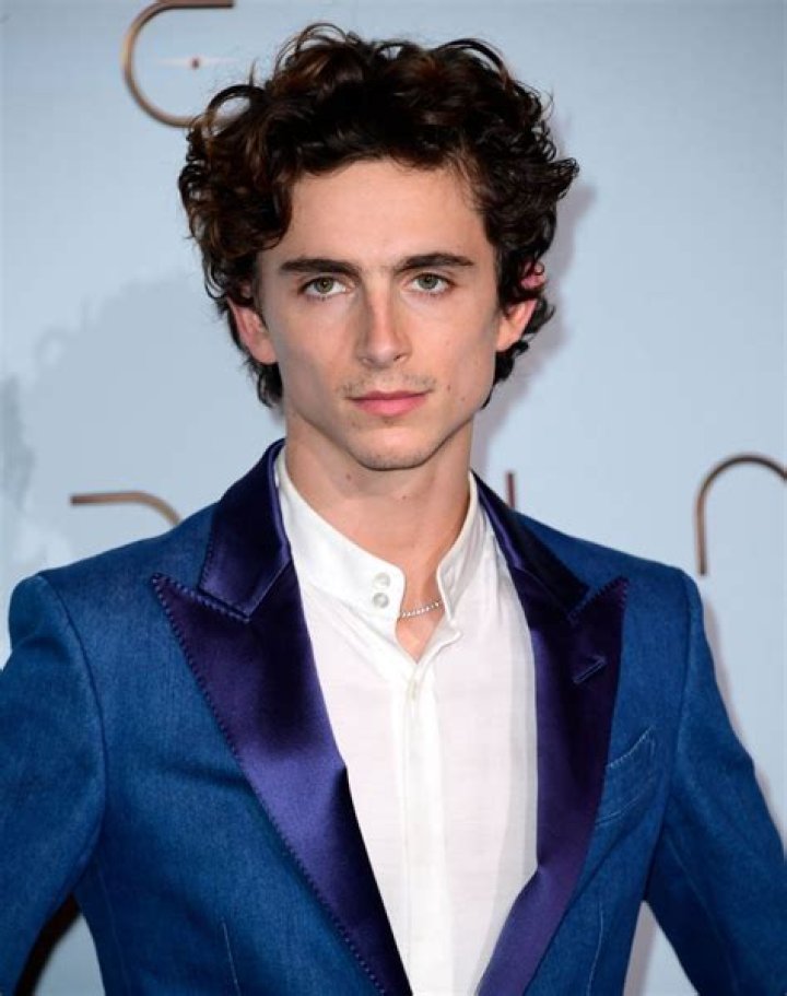 Timothée Chalamet's 10 Best Movies (According To Rotten Tomatoes)