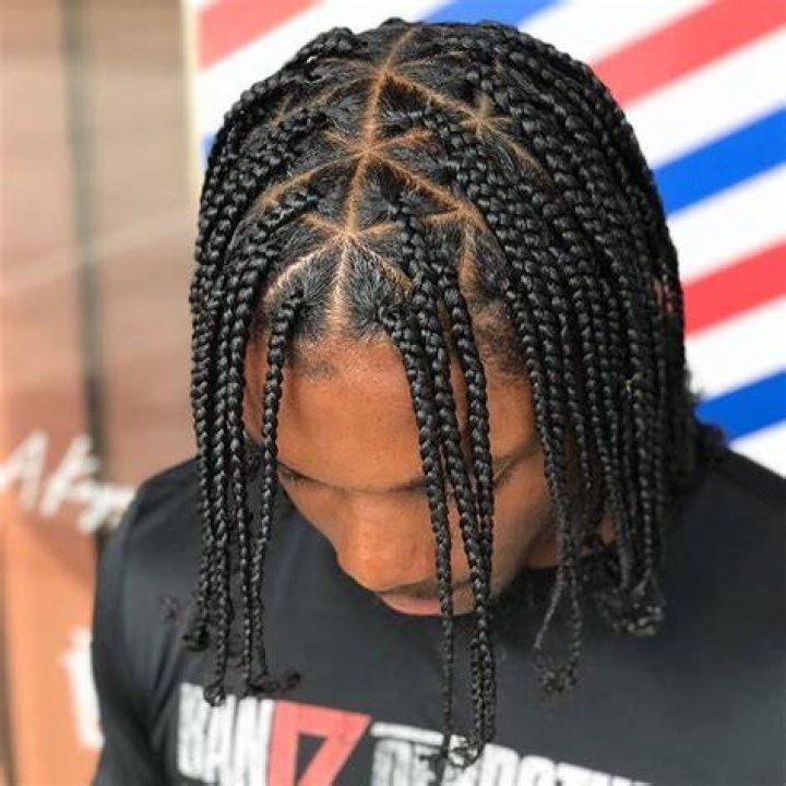 Uncover The Allure Of Man Plait Hairstyles: A Journey Of Discovery
