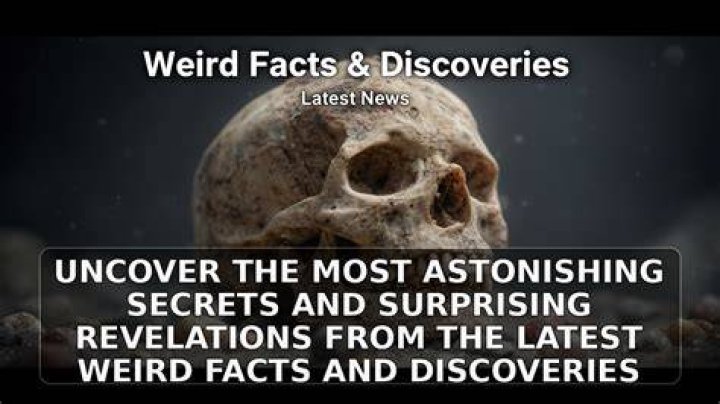 Uncover The Latest Discoveries And Insights