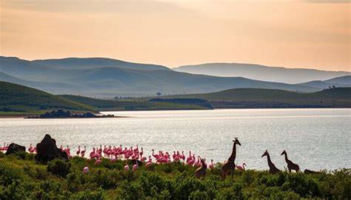 Uncover The Secrets Of Nakuru: Discoveries Await!