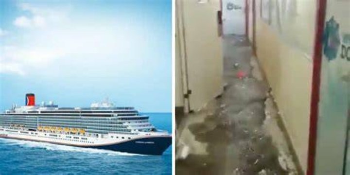 Uncover The Truth Behind The Carnival Paradise Cruise Ship Incident