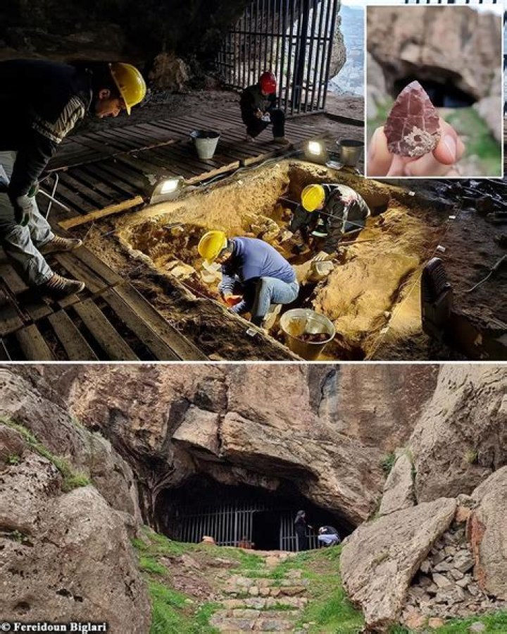 Uncovered Insights And Compelling Discoveries