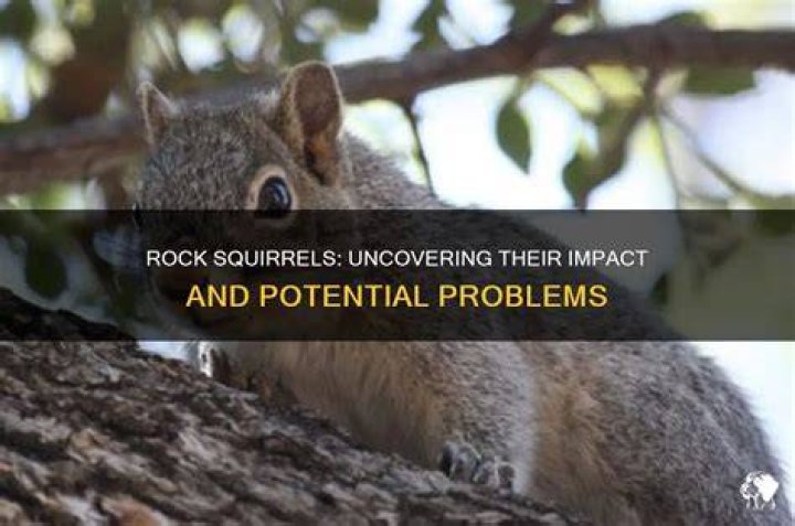 Uncovering His Impact And Potential