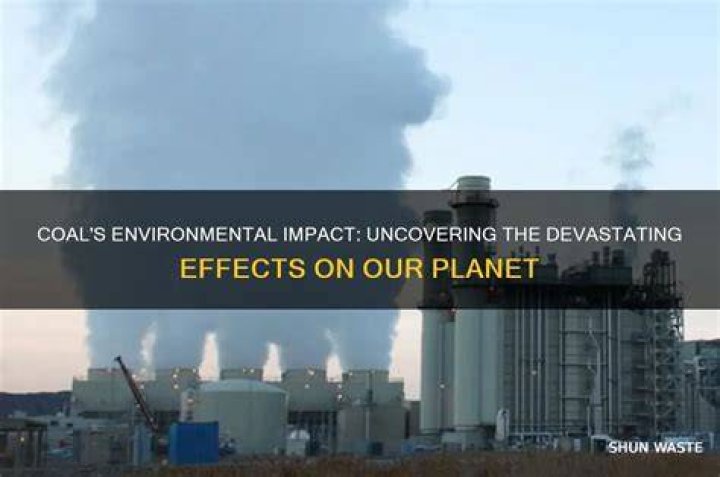 Uncovering The Devastating Impact And Valuable Lessons